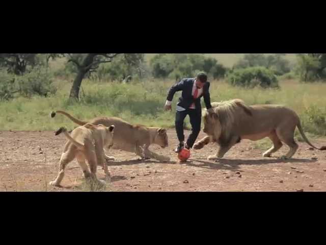 Giocare a calcio con i leoni