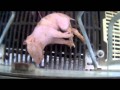 Crudeltà nei confronti di animali (maiali) da parte di multinazionali alimentari
